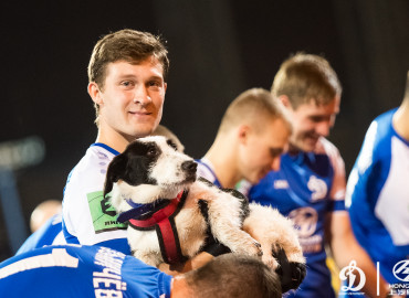 Футболисты клуба «Динамо»  вышли на поле с бездомными собаками, чтобы найти для каждого «барбоса» семью